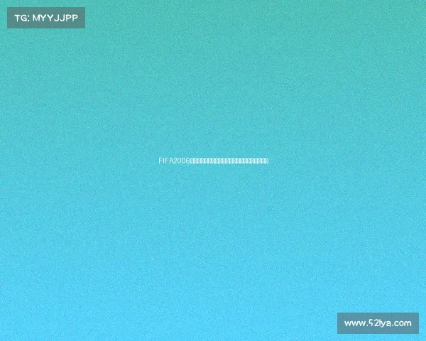 FIFA2006世界杯闪屏问题回顾与经典游戏体验修复解析探究